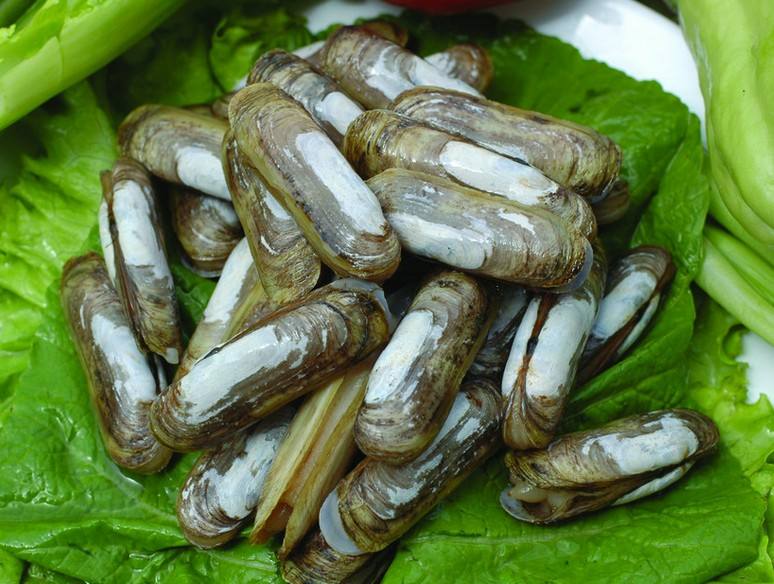 產(chǎn)品|氯霉素快速檢測(cè)卡