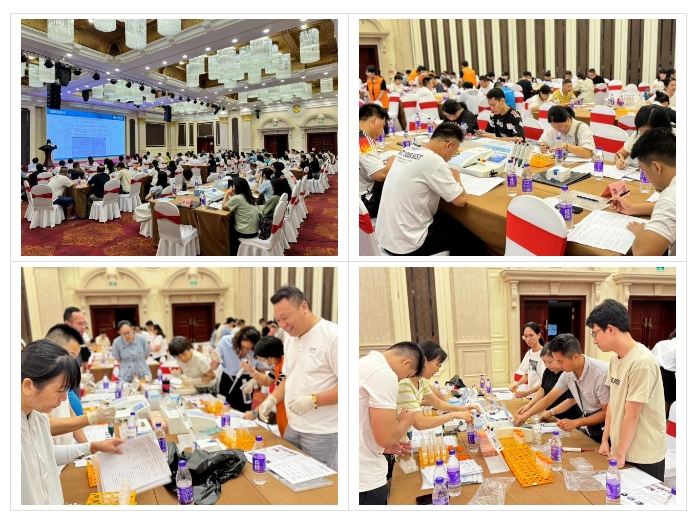 1725269078496106.png 06.png